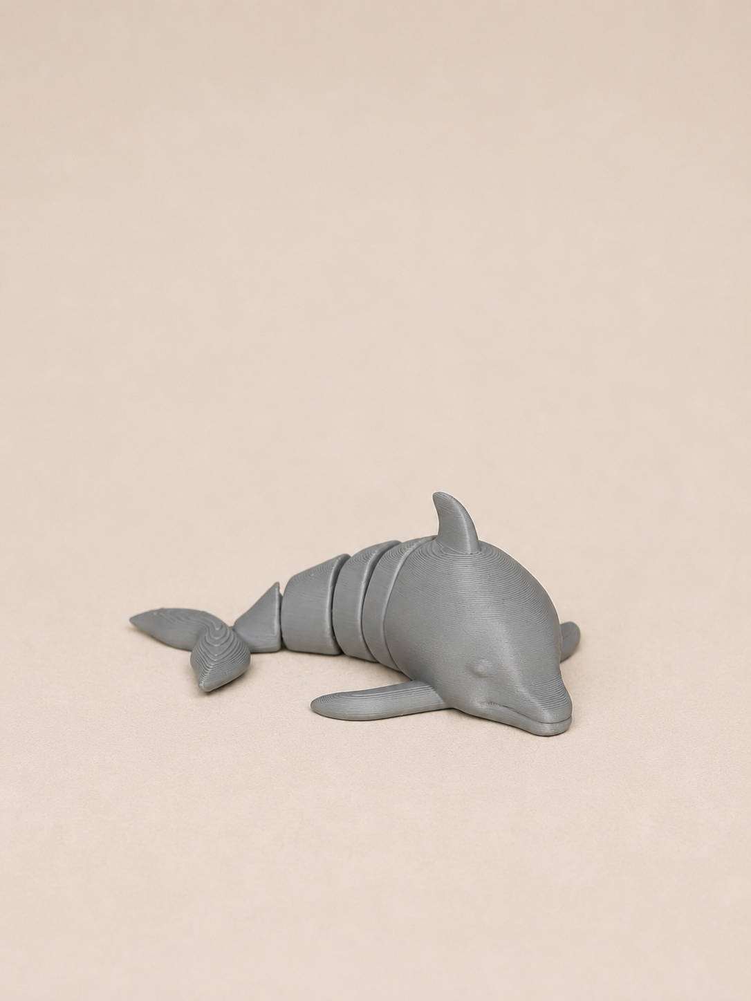 Dolphin
