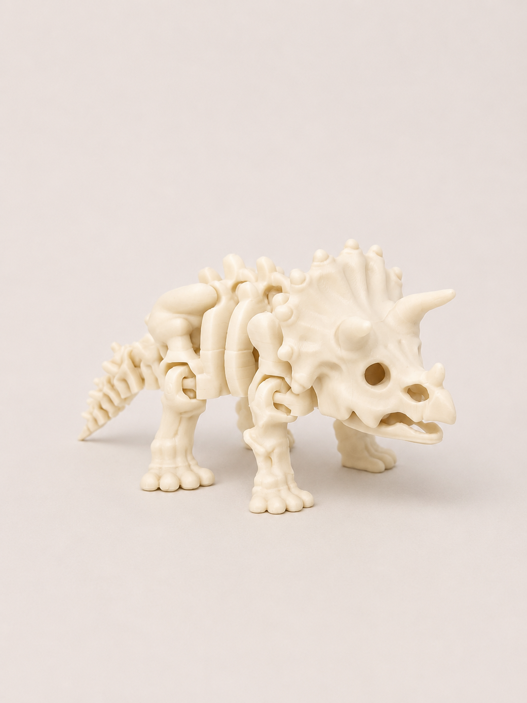 Dino Triceratops