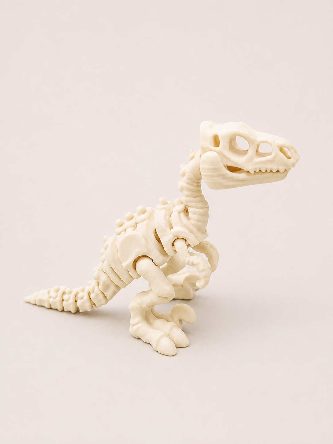 Dino Velociraptor